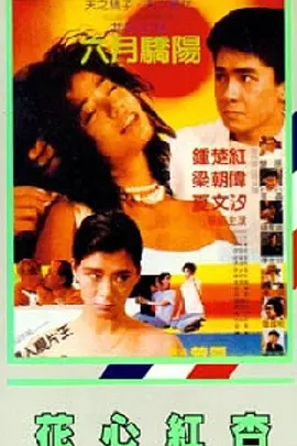 免费亚洲精品视频