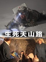 国内精品视频成人一区二区