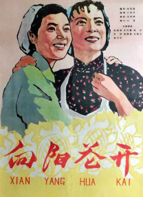 岛国91视频